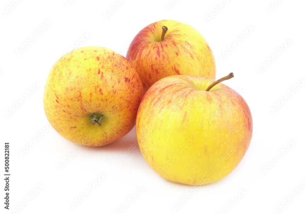 Ripe yellow-red apples isolated on white background Ripe yellow-red apples isolated on white background