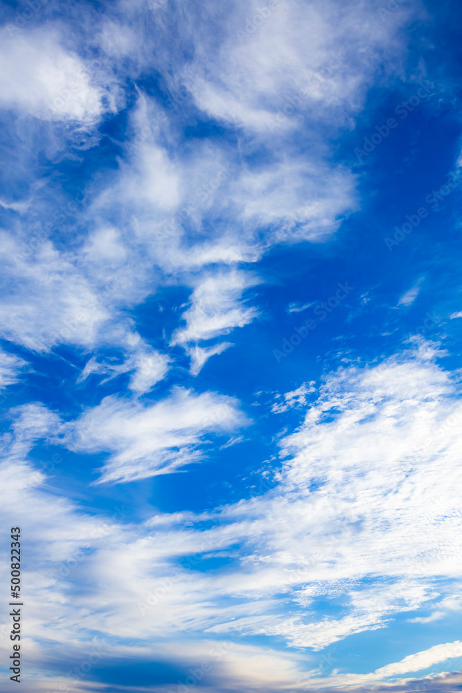 Fototapeta premium 秋の空