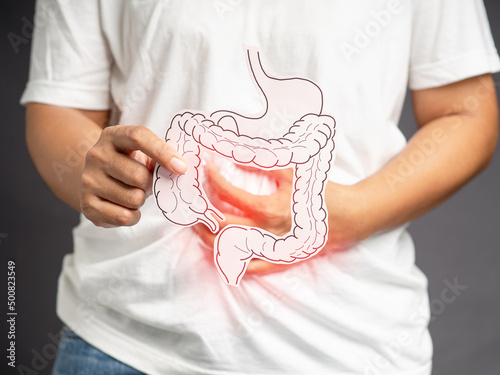 Canvas Print Hand holding a large intestine shape made from paper and touching stomach painfu