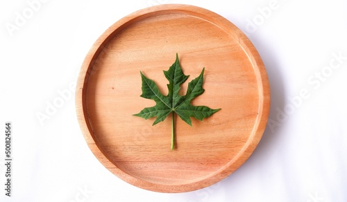 green papaya leaf on wooden plate on white background. top view. spcae for text