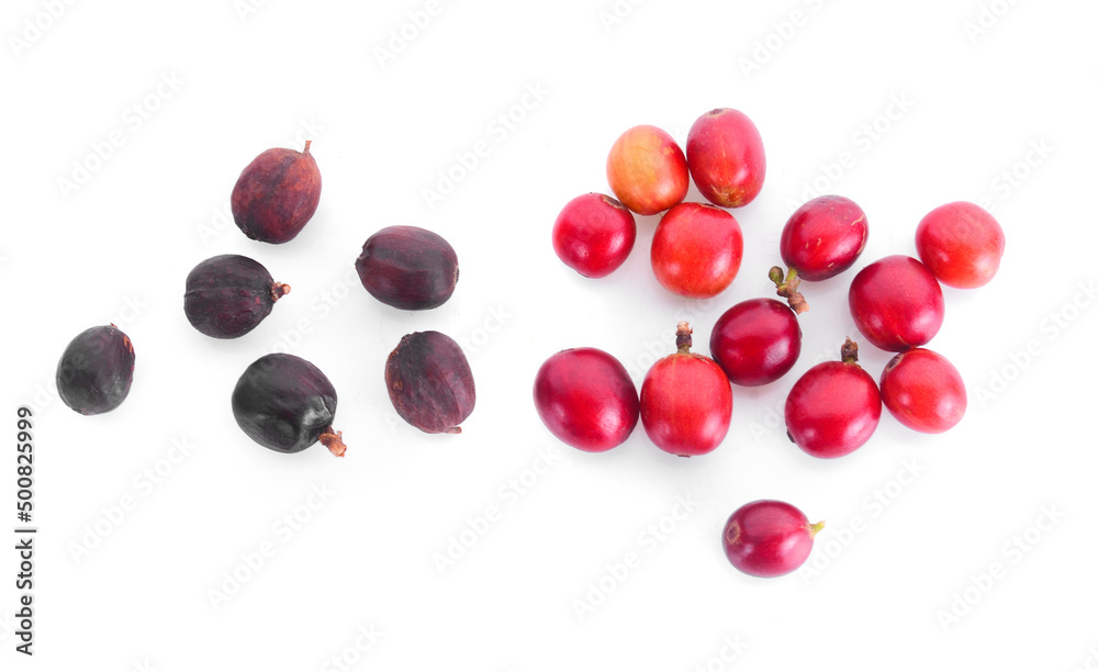 coffee beans on white background.