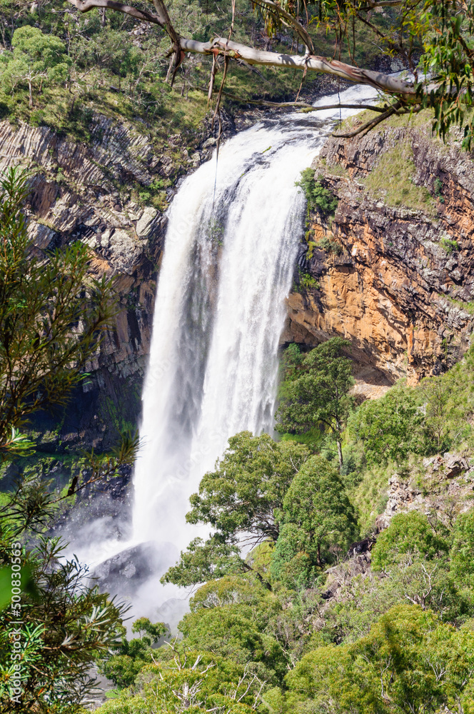 Lower Ebor Falls on the Guy Fawkes River plunges into the gorge - Dorrigo, NSW, Australia