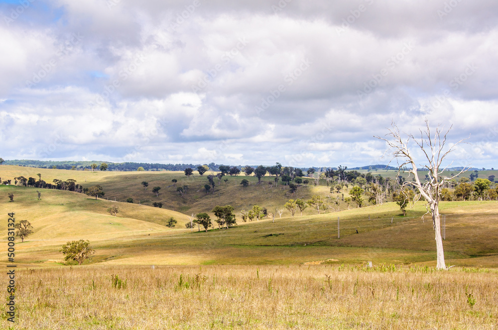 Pastures along the Ebor Falls Road - Dorrigo, NSW, Australia