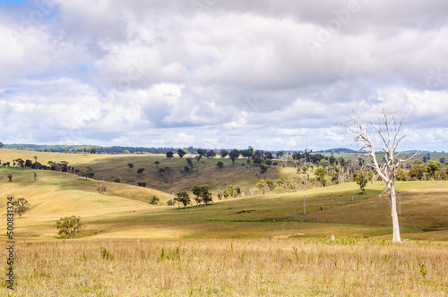 Pastures along the Ebor Falls Road - Dorrigo, NSW, Australia © lkonya