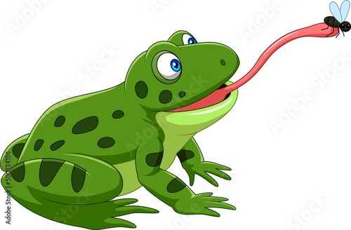 Cartoon frog catching a fly