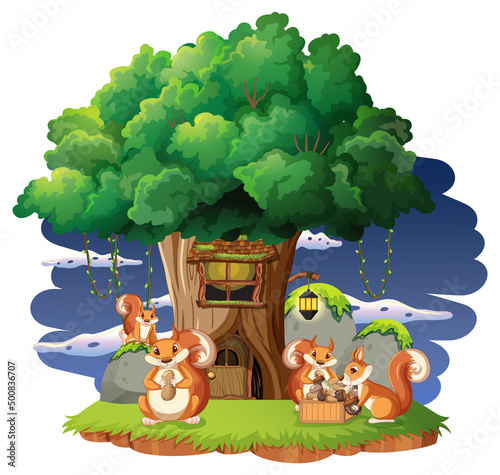 A squirrel family on island