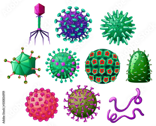 Different shapes of viruses