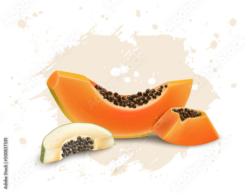 Papaya Fruit vector illustration with papaya slices and seeds