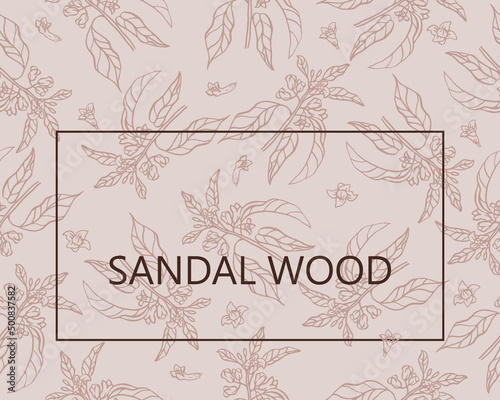 Sandalwood. Pattern with sandalwood leaves and flowers