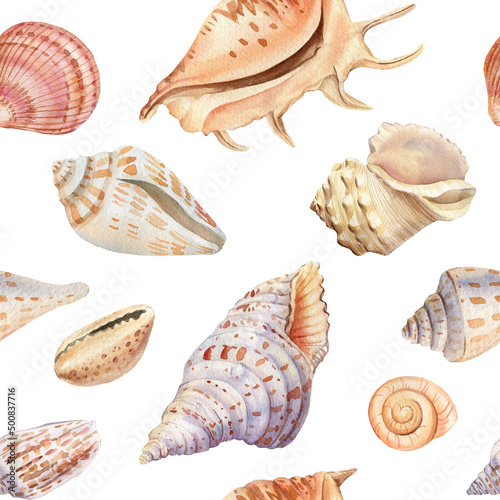 Seamless pattern with shells. Hand drawn watercolor underwater life 
