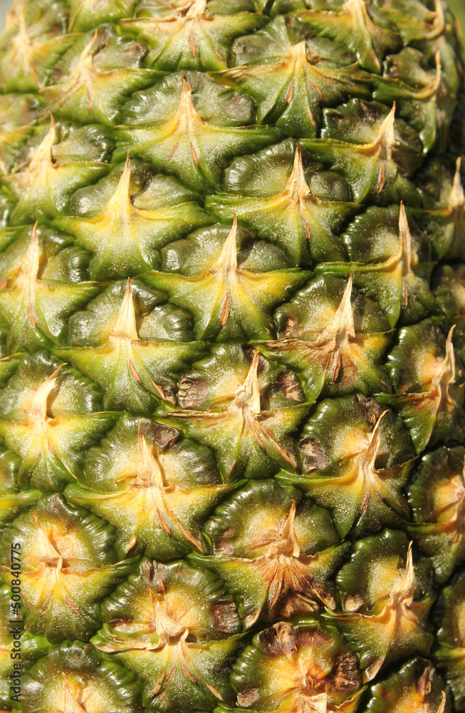 Natural Ripe Pineapple Skin Background Close up Natural Ripe Pineapple Skin Background Close up
