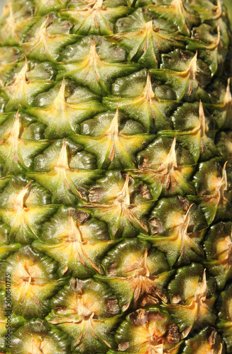 Natural Ripe Pineapple Skin Background Close up