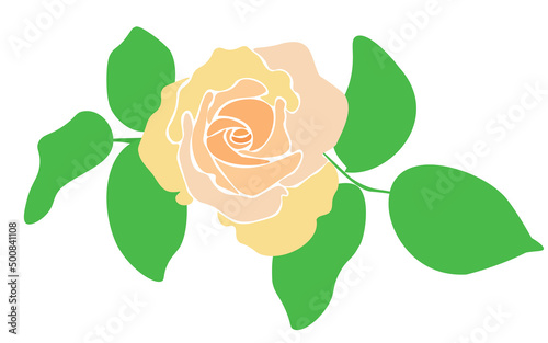 Creamy tea rose and green leaf isolated on white background, vector eps 10