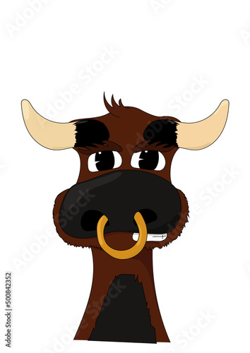 Stier