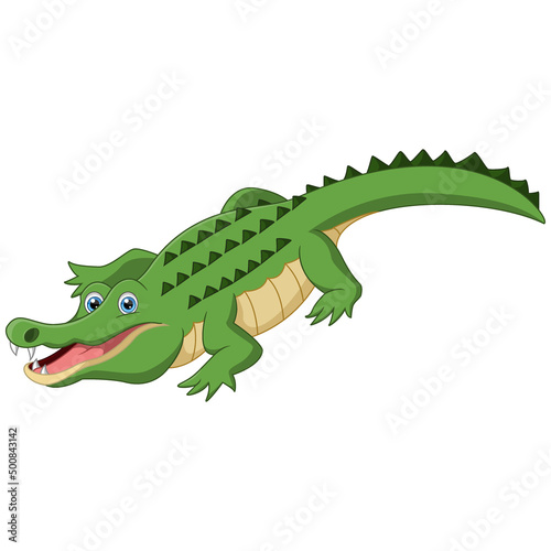 Cute alligator cartoon on white background