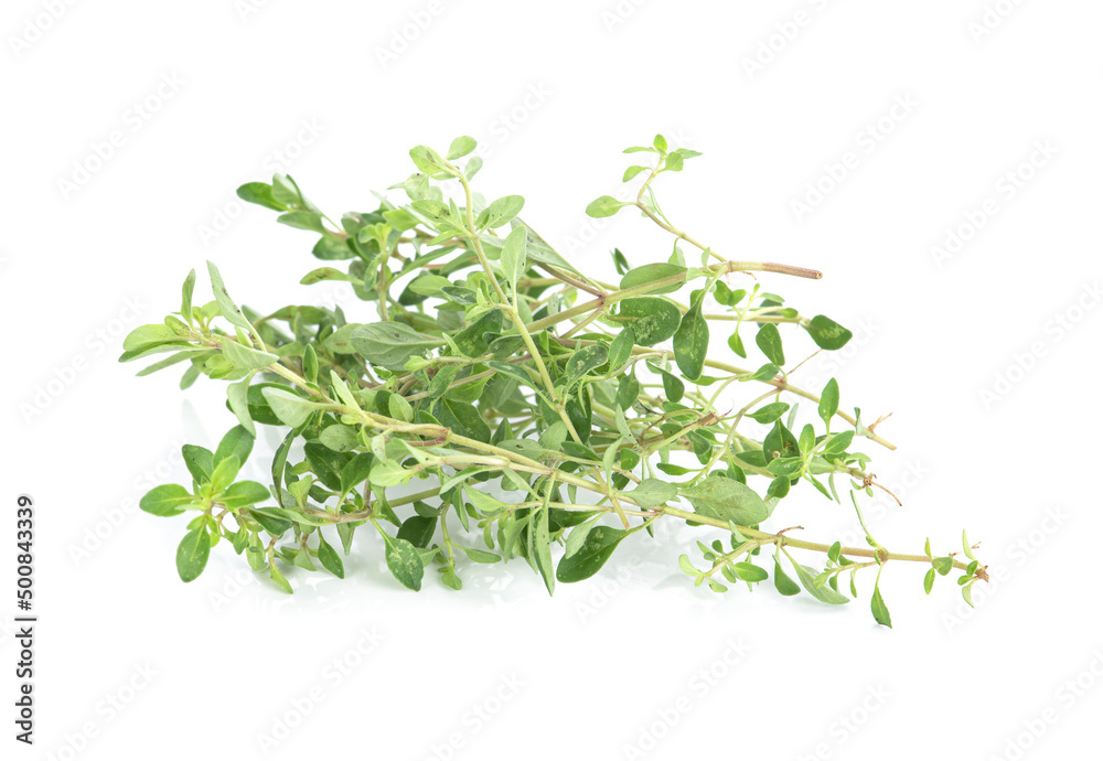Herbal tea leaves isolated on white background Herbal tea leaves isolated on white background