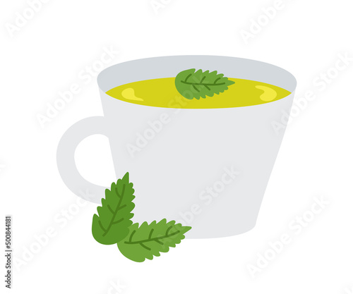 Сup of green herbal tea with mint leaves. Vector illustration of a healthy drink for design or decoration.
