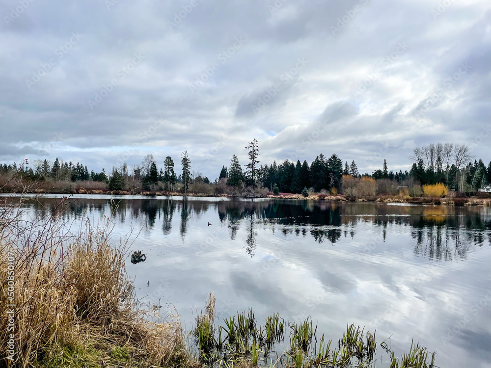 Fototapeta premium Larsen Lake Blueberry Farm