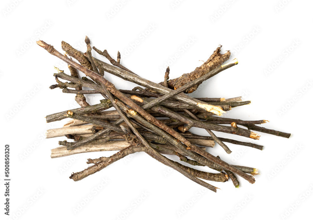 Branches Pile Isolated Branches Pile Isolated