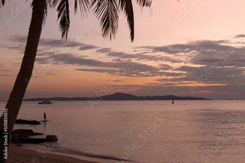 Fisherman fishing on a tropical beach. Coconut palm tree silhouette. Sea pink sunset.
