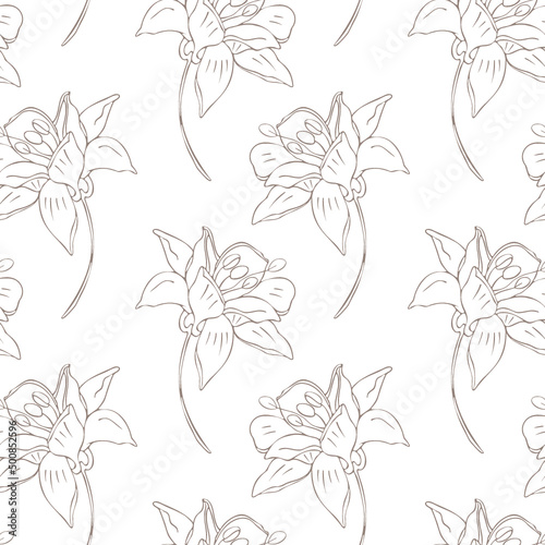 Botanical seamless pattern aconitum (wolfsbane). Illustration of wild flowers 