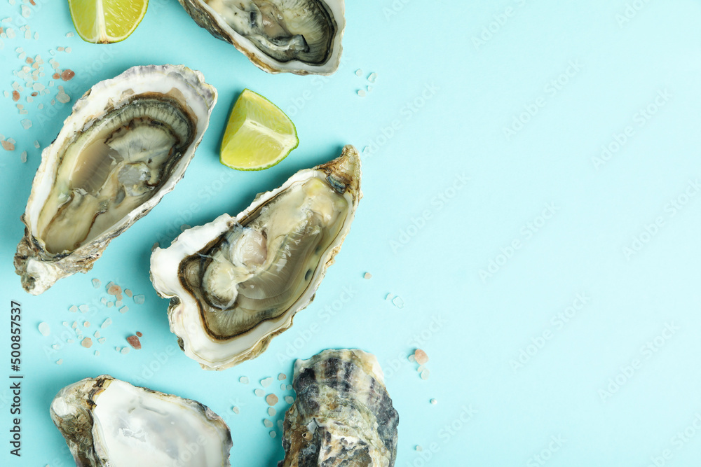 Concept of seafood, oysters, space for text Concept of seafood, oysters, space for text
