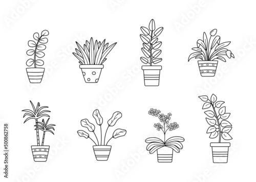 Potted flowers, vector illustration set contour doodle icons, ficus, dracaena, orchid.