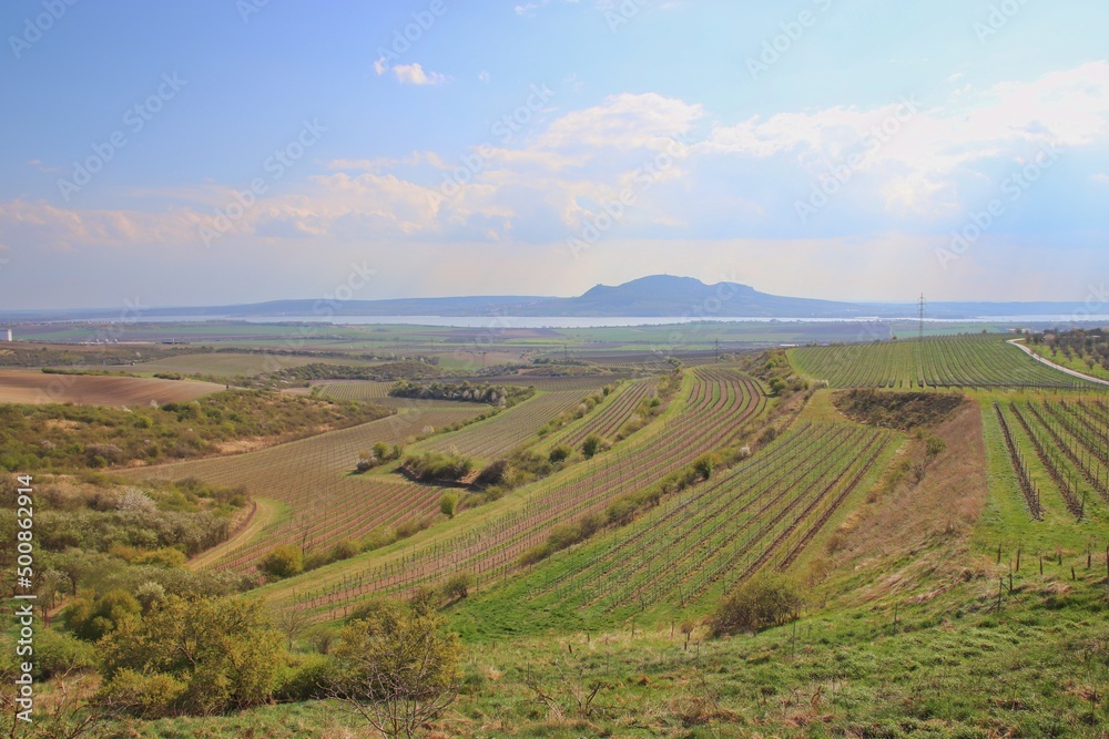 A view to the Palava hills with vineyards and fields around near Popice, Czech republic