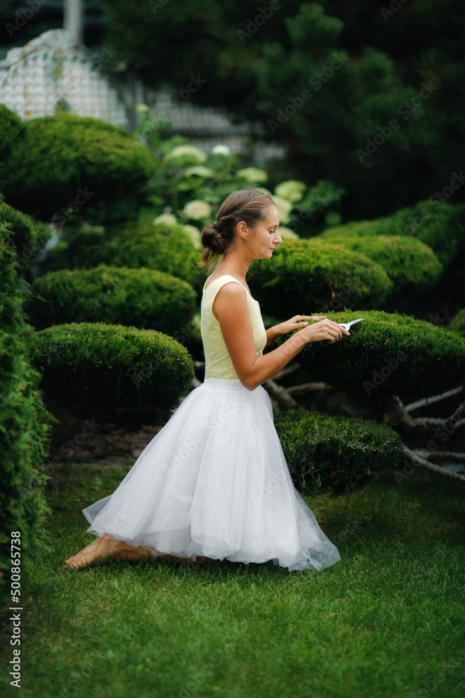 Beautiful woman girl in a dress with garden scissors cuts juniper, horticultural and topiary lawn, Garden bonsai, juniper niwaki. Classical garden topiary art Beautiful woman girl in a dress with garden scissors cuts juniper, horticultural and topiary lawn, Garden bonsai, juniper niwaki. Classical garden topiary art