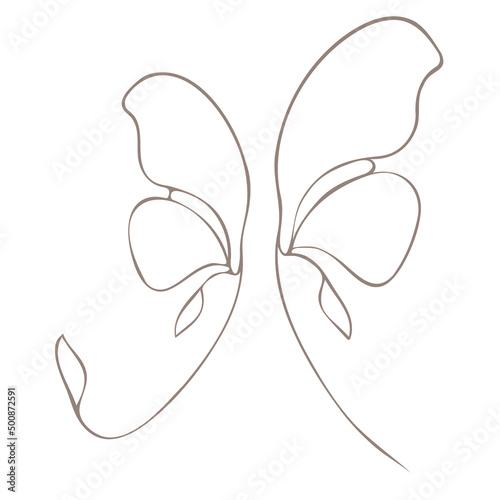 Botanical illustration. Aconitum line art