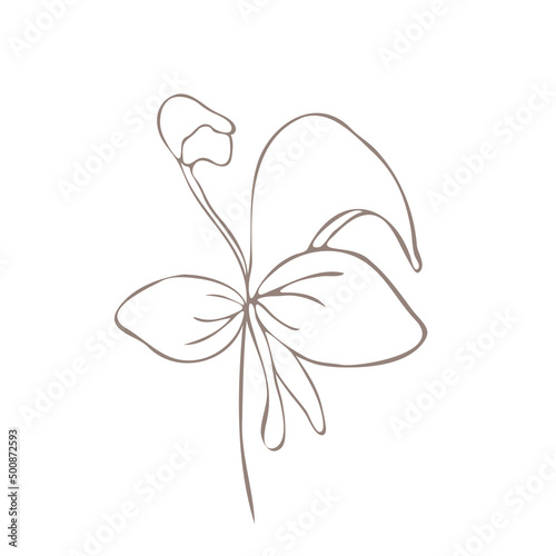Botanical illustration. Aconitum line art