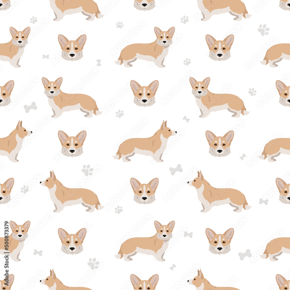 Fototapeta Welsh corgi cardigan seamless pattern. Different poses, coat colors set