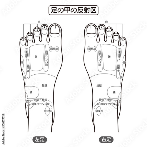 足の甲の反射区・足つぼ　モノクロイラスト