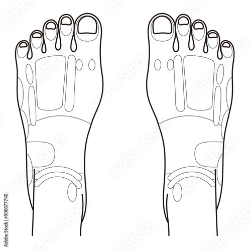 足の甲の反射区・足つぼ　モノクロイラスト