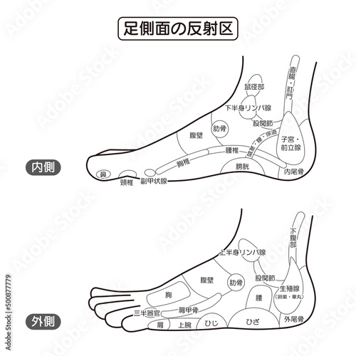 足側面の反射区・足つぼ　モノクロ図解イラスト