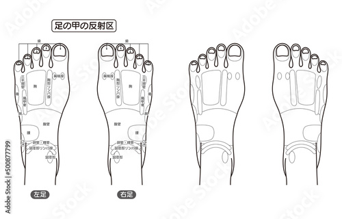 足の甲の反射区・足つぼ　モノクロイラスト