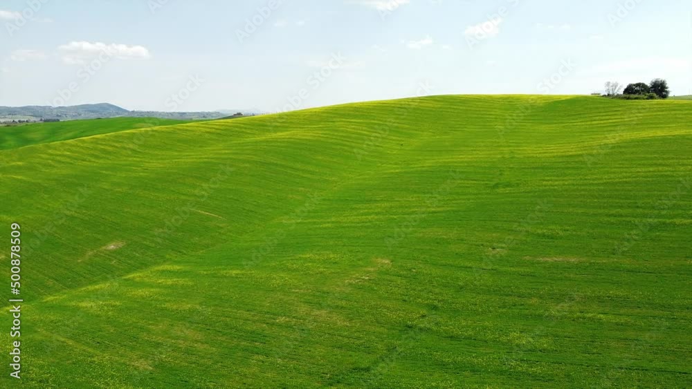 Europe, Italy , April 2022 - Drone aerial view of Tuscany countryside landscape in Asciano , Val D'orcia , Siena - Crete Senesi touristic attraction - green hill with yellow flowers and blue sky Europe, Italy , April 2022 - Drone aerial view of Tuscany countryside landscape in Asciano , Val D'orcia , Siena - Crete Senesi touristic attraction - green hill with yellow flowers and blue sky