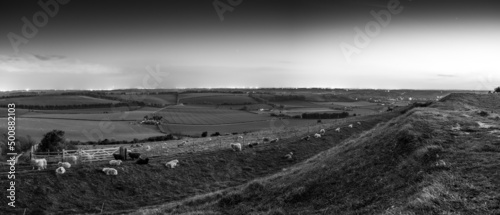Old Winchester Hill View Panoramic, Hampshire Countryside
