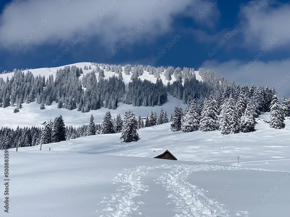Obraz premium Fairytale alpine winter atmosphere and snow-capped alpine peak Stockberg (1781 m) in the Alpstein mountain massif, Nesslau - Obertoggenburg region, Switzerland (Schweiz)