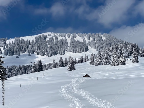 Fairytale alpine winter atmosphere and snow-capped alpine peak Stockberg  1781 m  in the Alpstein mountain massif  Nesslau - Obertoggenburg region  Switzerland  Schweiz 