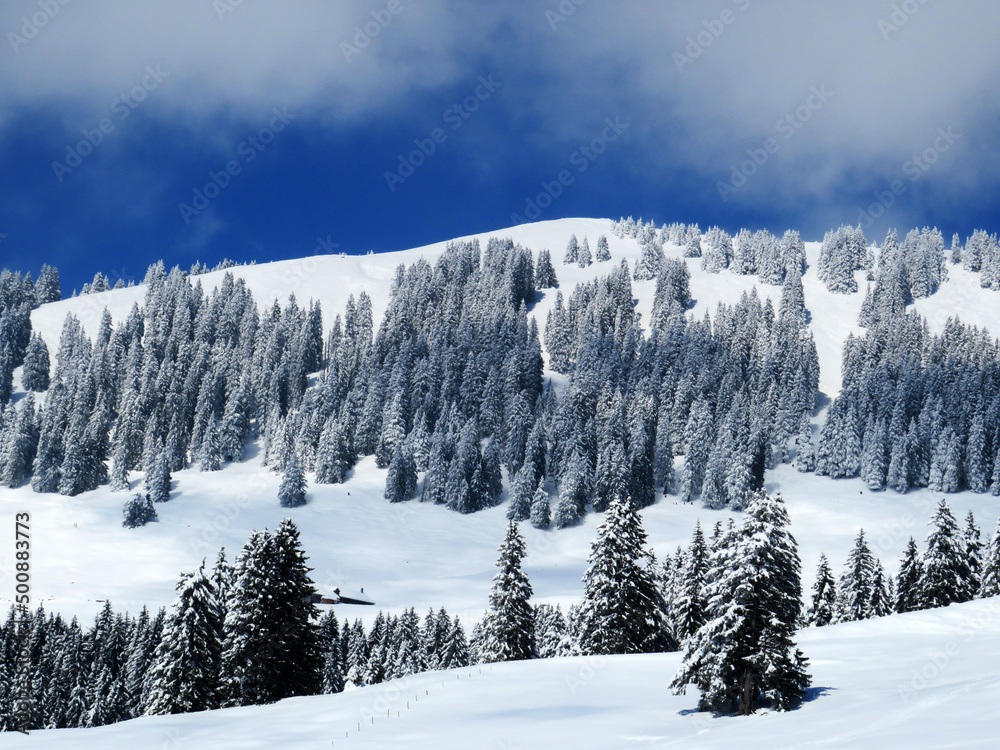 Fototapeta premium Fairytale alpine winter atmosphere and snow-capped alpine peak Stockberg (1781 m) in the Alpstein mountain massif, Nesslau - Obertoggenburg region, Switzerland (Schweiz)