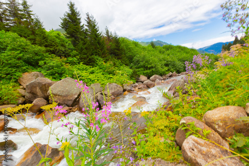 Black Sea, Rize Amlakit plateau Turkey, View photo