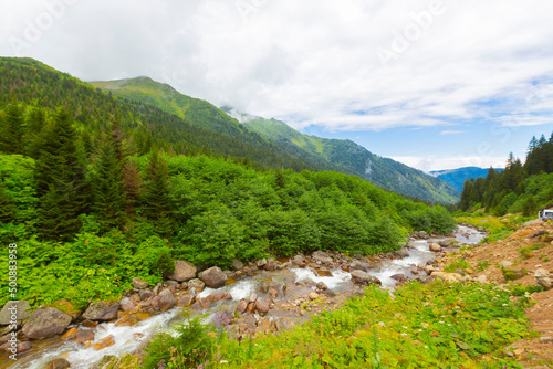 Black Sea, Rize Amlakit plateau Turkey, View photo