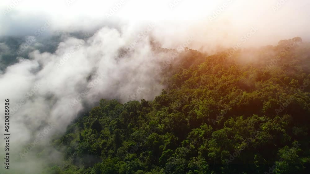 An aerial view from a drone flying over the many fogs in the mountains. wonderful morning sunrise natural Landscape. Khao sok National Park, Surat Thani, Thailand. 4K
An aerial view from a drone flying over the many fogs in the mountains. wonderful morning sunrise natural Landscape. Khao sok National Park, Surat Thani, Thailand. 4K