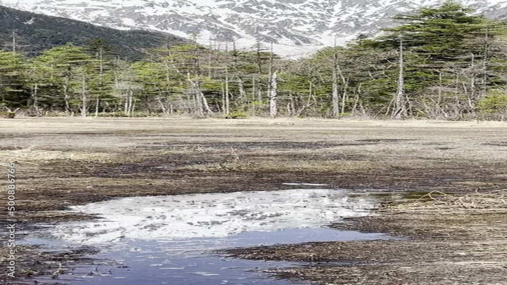 上高地 田代湿原 穂高連峰 長野県