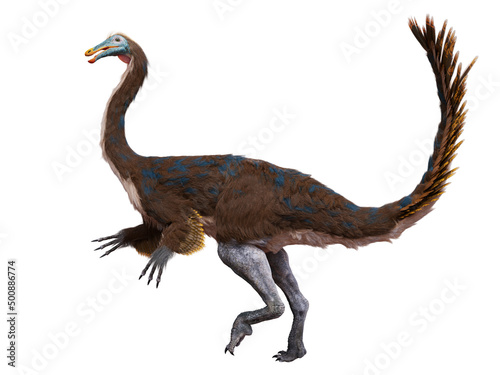 Gallimimus  feathered theropod dinosaur with an estimated top running speed of 42   56 km per hour  isolated on white background