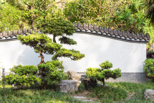 Bonsai trees against a white wall in Baihuatan public park, Chengdu, Sichuan province, China photo