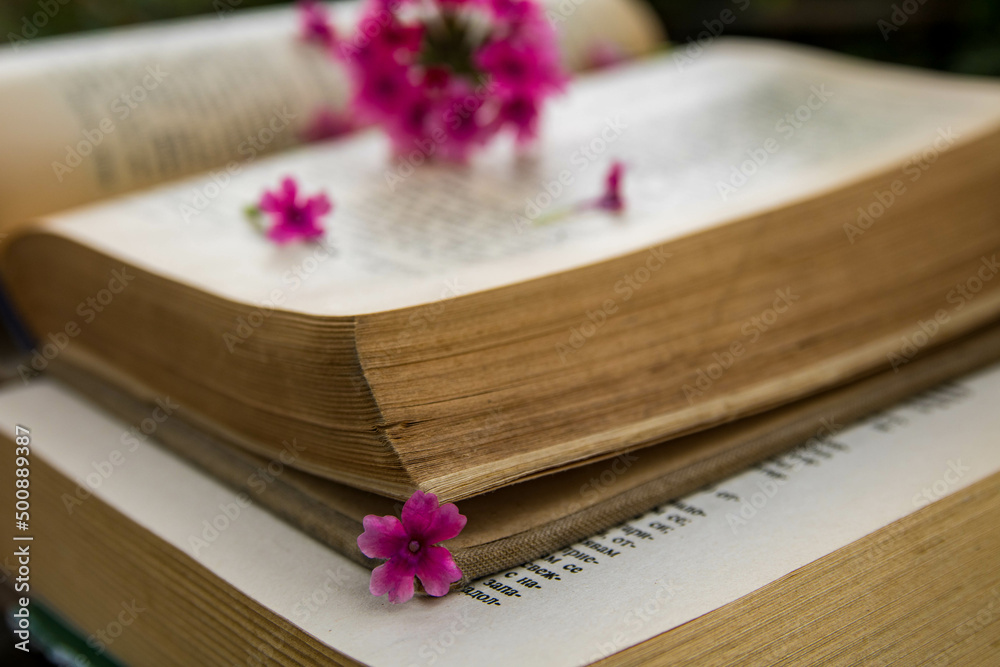 Fototapeta premium Still life of open book and pink flowers