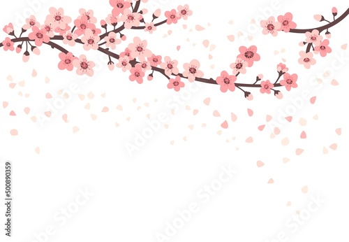 Cherry blossom. Apricot sakura flowers and flying leaves. Japanese tree branches, pink flowers and leaf. Isolated asian chinese blossom plant neoteric vector poster