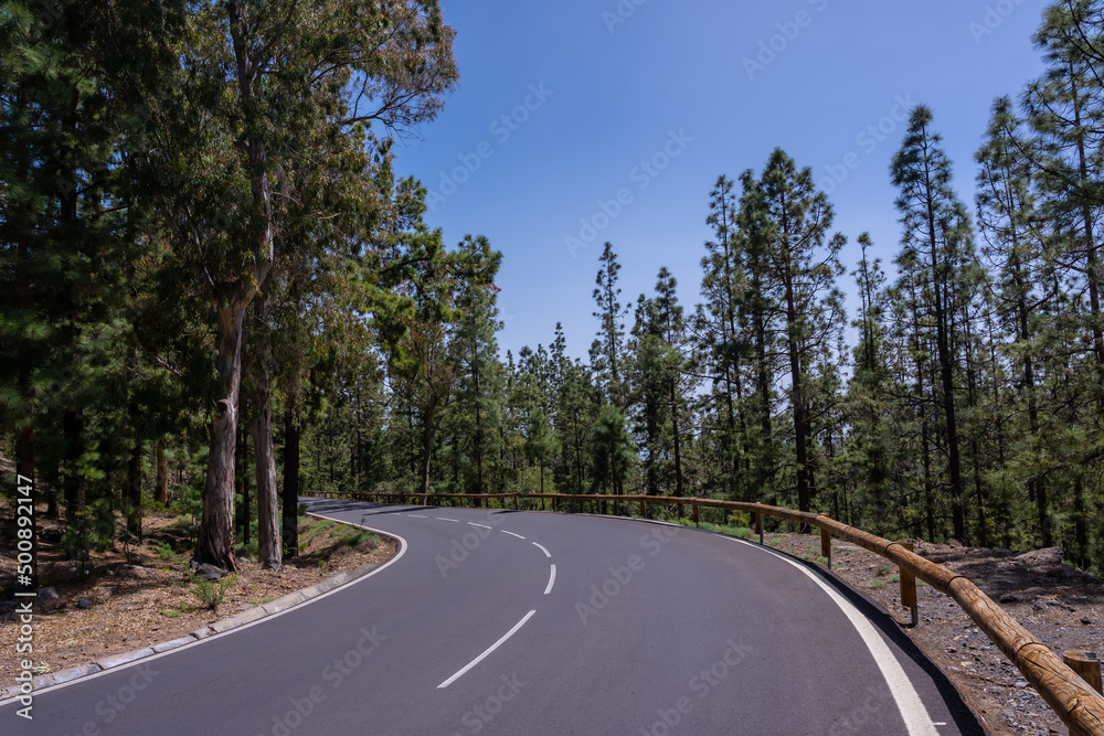 Fototapeta premium Beautiful road in the woods on the way up to Teide Natural Park in Tenerife, Canary Islands